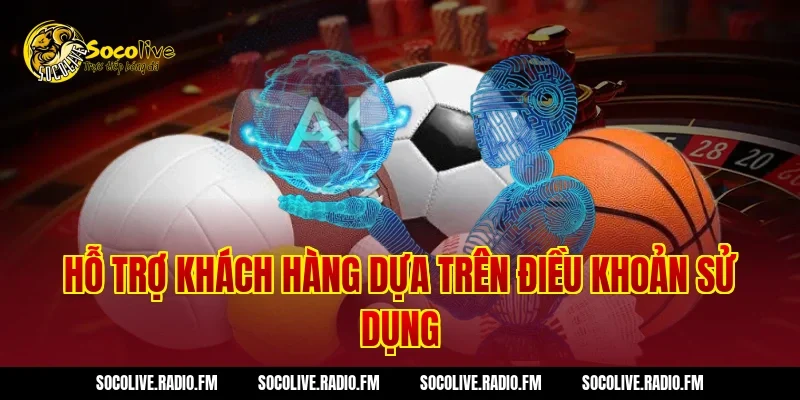 Hỗ trợ khách hàng dựa trên Điều Khoản Sử Dụng